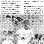 070320 - DNA - Concert des Gospel Kids